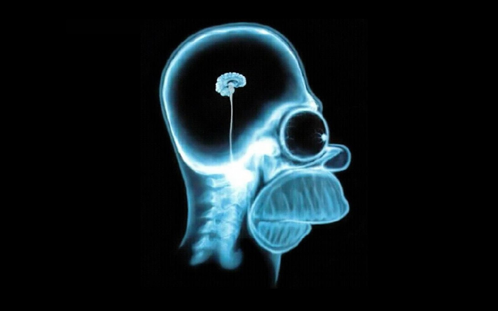 large.brain-homer-simpson-e1362669096254.jpg.271a2ce5115bf13e2af30d628520f89d.jpg